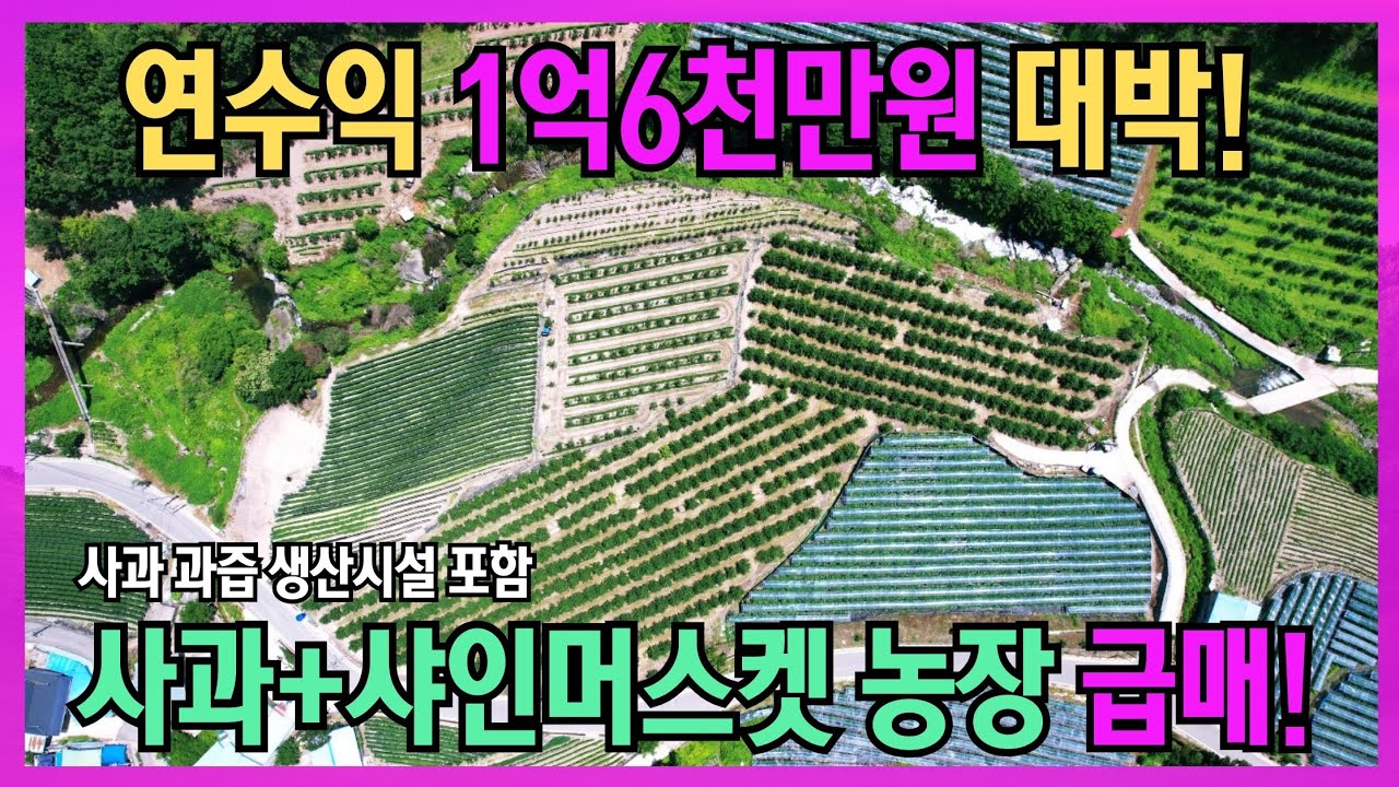 영덕 기사리 계획관리지역 농지 저온저장고 완비된 성공 귀농 추천