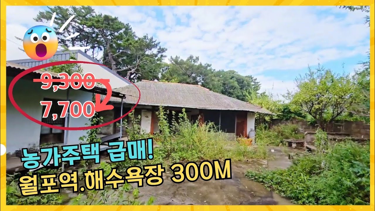 1651 (7,700) 파격인하 월포해수욕장 대지가격이하 농가주택 급매