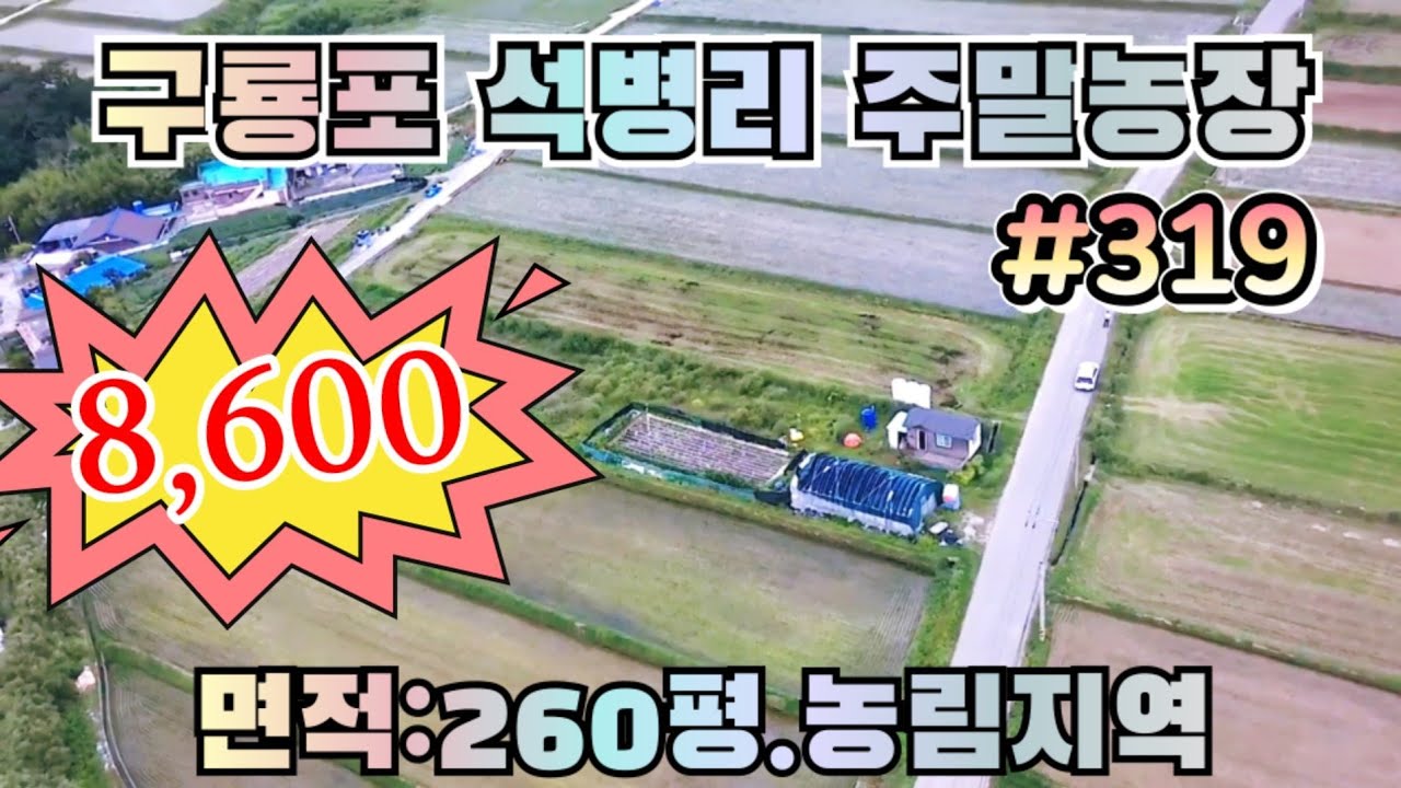 319 포항 구룡포읍 주말농장 매매 8천만원대, 바다 전망 명품 텃밭