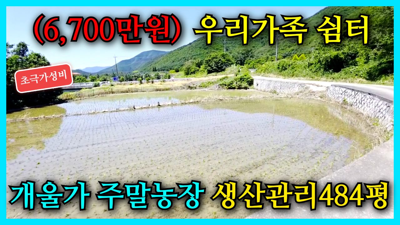1842 개울가 주말농장.포항 기북면 주말농장, 484평 가족 휴식처와 투자 가치를 동시에!