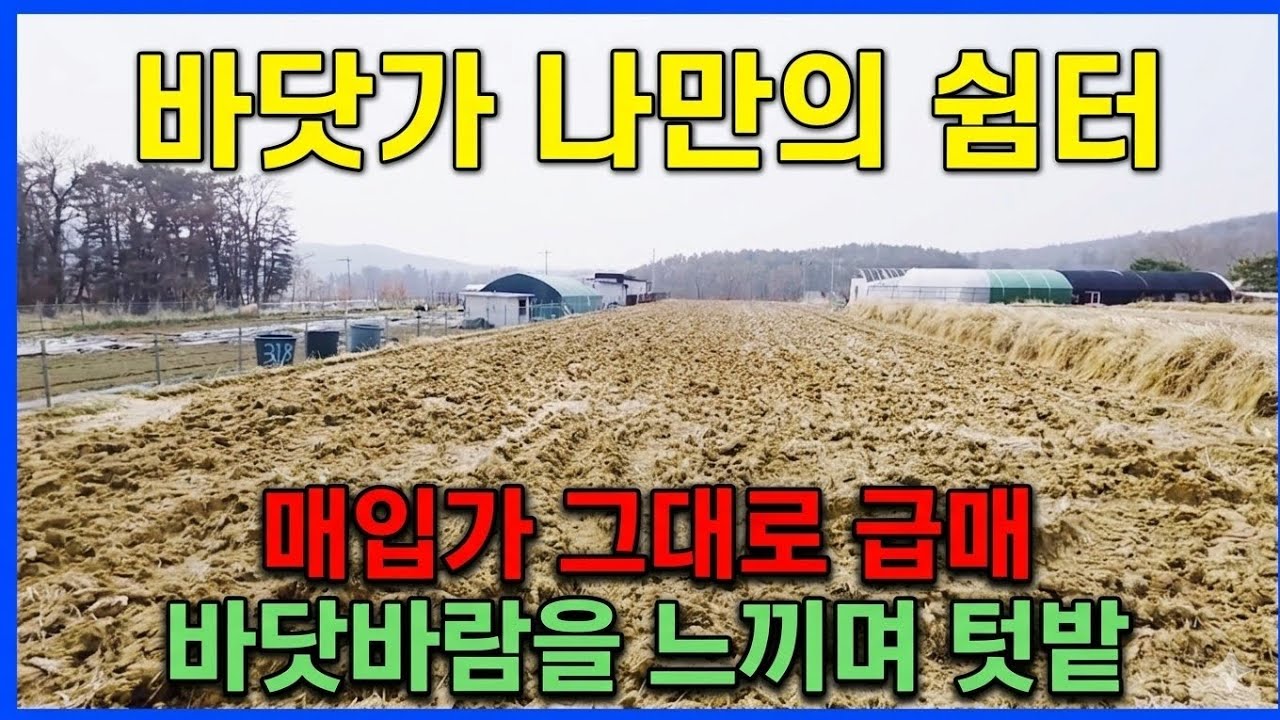 1821 나만의 체류형 쉼터 찾으시나요? 포항 북구 청하면 바다향 품은 언덕 위 주말농장 원가 매매