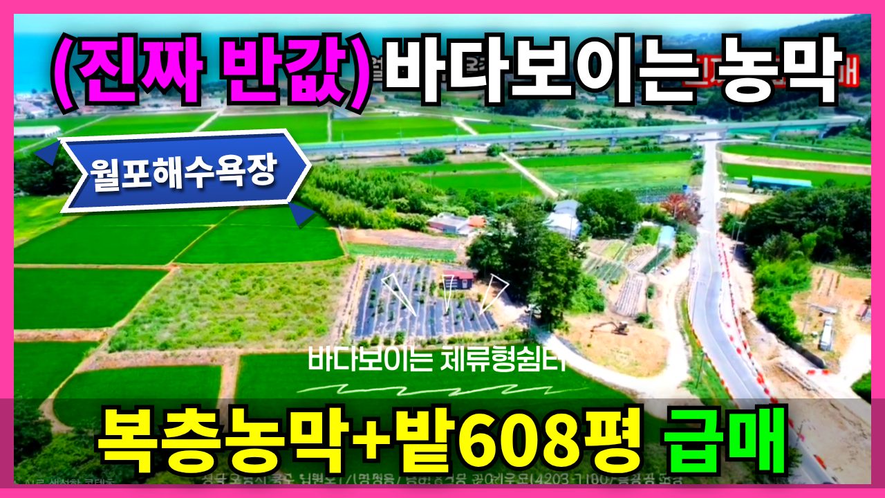 ✅긴급매물! 전용비 0원! 구룡포 바다뷰 잡종지, 놓치면 후회합니다.