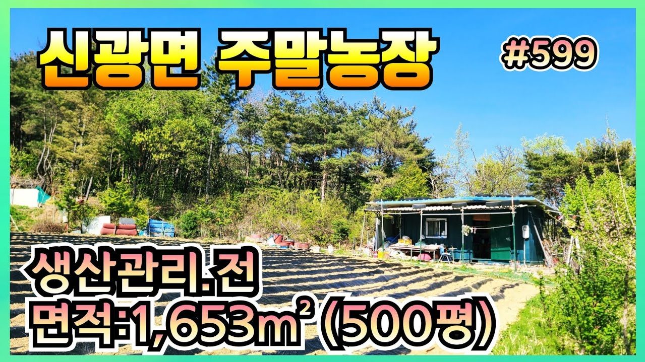 599 신광면 죽성리 남향 토지 매매 (전원주택지 주말농장 추천)
