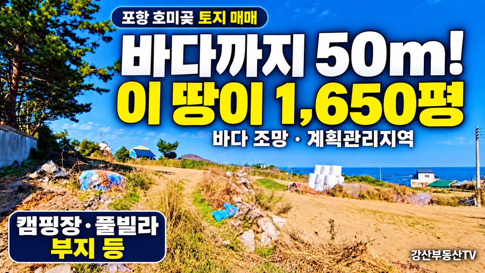 [1281] 동해 일출 독점! 호미곶 언덕 위 바다뷰 캠핑장·펜션 부지 | 포항 계획관리 토지 매매