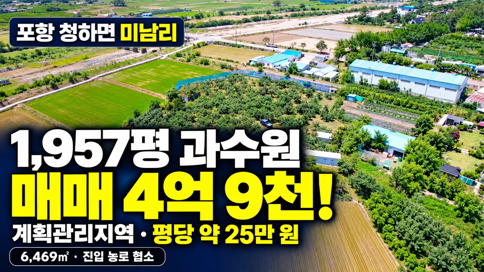 1054 [포항 과수원 급매] 월포해수욕장 근접! 면사무소 옆 계획관리 과수원